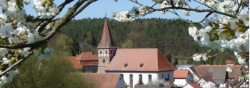 Bild / Logo Veranstalter