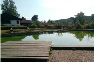 Bild der Veranstaltung