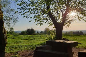 Bild der Veranstaltung