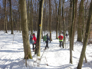 Bild der Veranstaltung