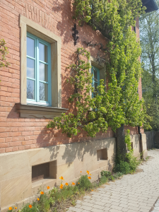 Bild der Veranstaltung