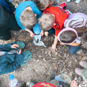 Bild der Veranstaltung