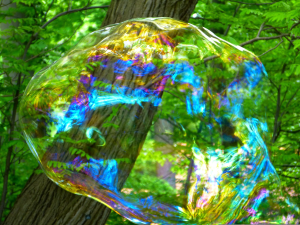 Bild der Veranstaltung Sommerlesung pixabay