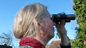 Bild der Veranstaltung