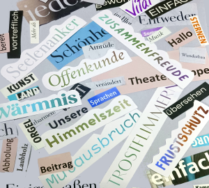 Bild der Veranstaltung