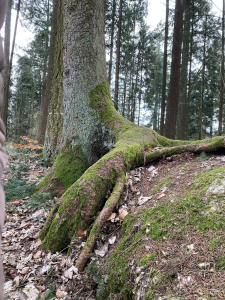 Bild der Veranstaltung