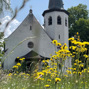 Bild der Veranstaltung