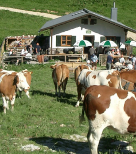 Bild der Veranstaltung