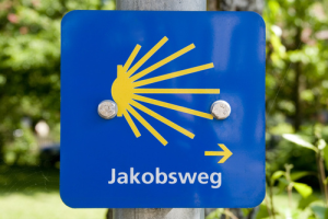 Bild der Veranstaltung