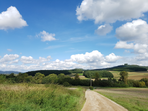 Bild der Veranstaltung