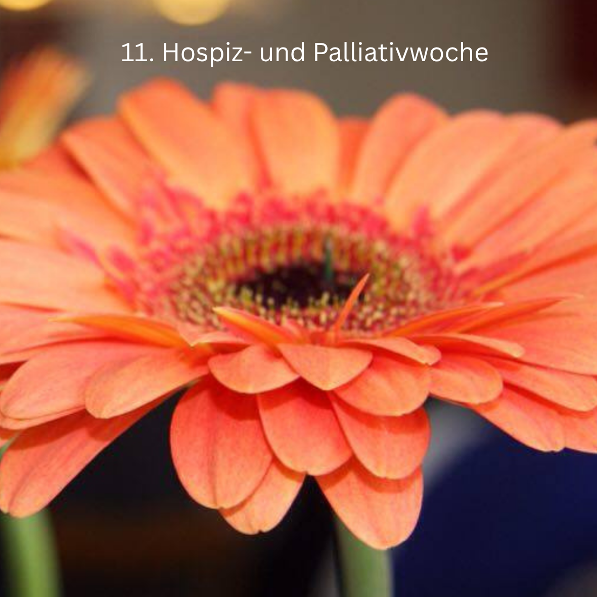 Bild der Veranstaltung