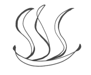 Bild der Veranstaltung